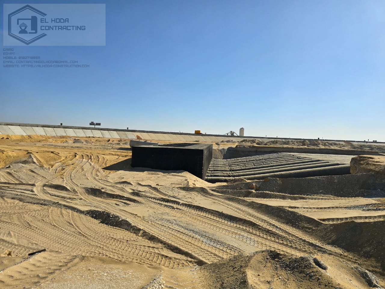 Egypt's Future Project
